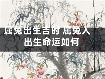 属兔出生吉时 属兔人出生命运如何