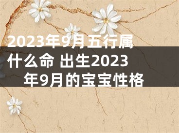 2023年9月五行属什么命 出生2023年9月的宝宝性格