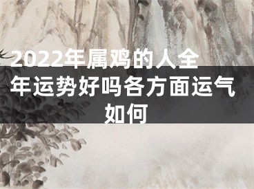 2022年属鸡的人全年运势好吗各方面运气如何