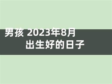 男孩 2023年8月出生好的日子