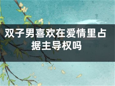双子男喜欢在爱情里占据主导权吗