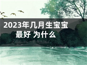 2023年几月生宝宝最好 为什么 