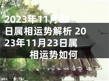 2023年11月23日属相运势解析 2023年11月23日属相运势如何