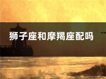 狮子座和摩羯座配吗