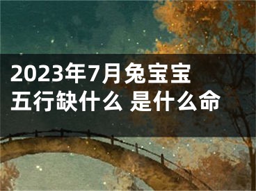 2023年7月兔宝宝五行缺什么 是什么命