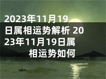 2023年11月19日属相运势解析 2023年11月19日属相运势如何