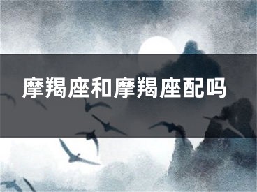 摩羯座和摩羯座配吗
