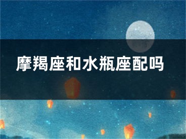 摩羯座和水瓶座配吗