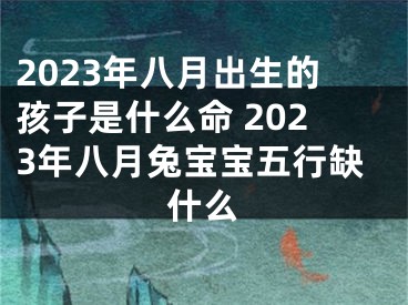 2023年八月出生的孩子是什么命 2023年八月兔宝宝五行缺什么