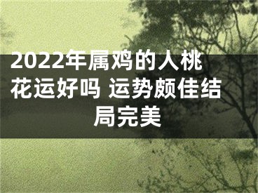 2022年属鸡的人桃花运好吗 运势颇佳结局完美
