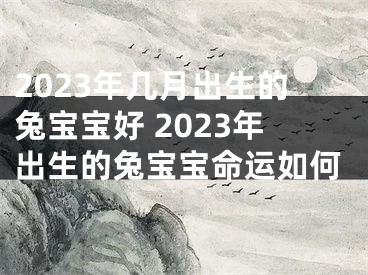 2023年几月出生的兔宝宝好 2023年出生的兔宝宝命运如何