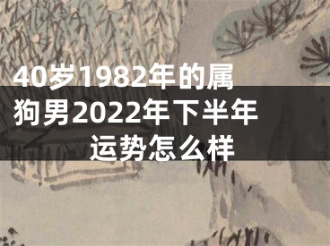 40岁1982年的属狗男2022年下半年运势怎么样