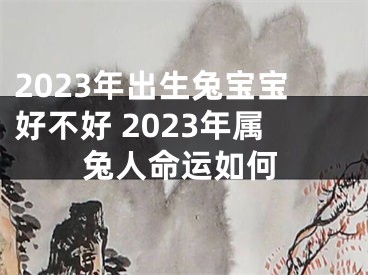 2023年出生兔宝宝好不好 2023年属兔人命运如何
