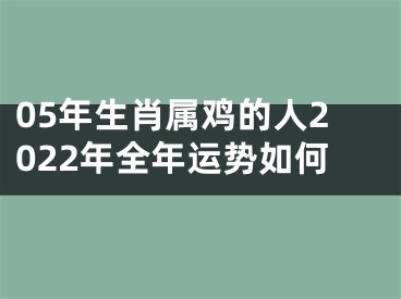 05年生肖属鸡的人2022年全年运势如何