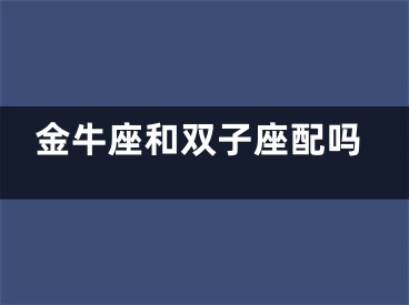 金牛座和双子座配吗
