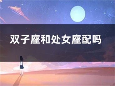 双子座和处女座配吗
