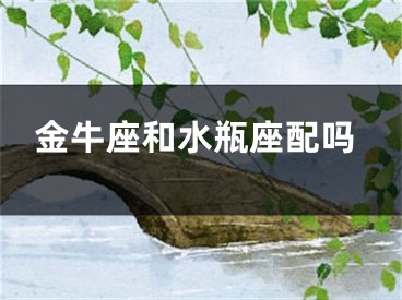 金牛座和水瓶座配吗