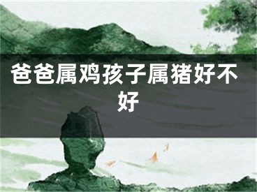 爸爸属鸡孩子属猪好不好