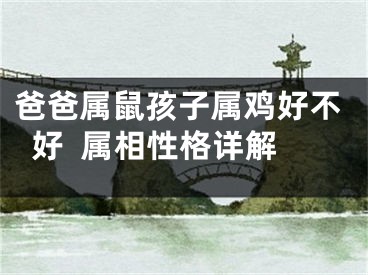 爸爸属鼠孩子属鸡好不好  属相性格详解