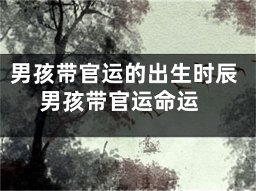 男孩带官运的出生时辰 男孩带官运命运