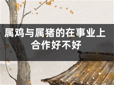 属鸡与属猪的在事业上合作好不好