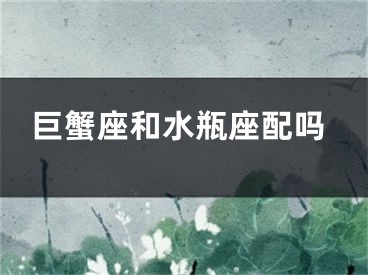 巨蟹座和水瓶座配吗