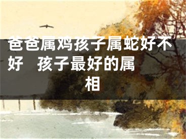 爸爸属鸡孩子属蛇好不好   孩子最好的属相