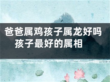 爸爸属鸡孩子属龙好吗  孩子最好的属相