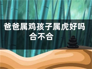 爸爸属鸡孩子属虎好吗  合不合