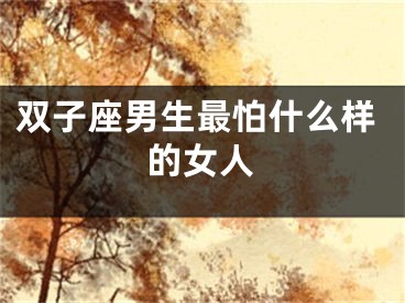 双子座男生最怕什么样的女人