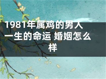1981年属鸡的男人一生的命运 婚姻怎么样