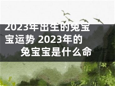 2023年出生的兔宝宝运势 2023年的兔宝宝是什么命