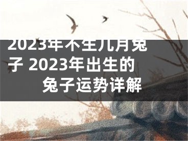 2023年不生几月兔子 2023年出生的兔子运势详解