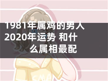 1981年属鸡的男人2020年运势 和什么属相最配