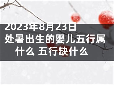 2023年8月23日处暑出生的婴儿五行属什么 五行缺什么