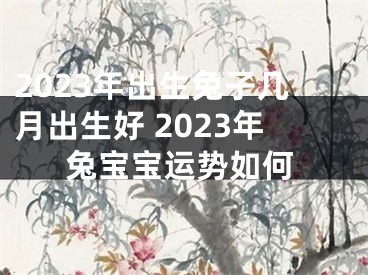 2023年出生兔子几月出生好 2023年兔宝宝运势如何