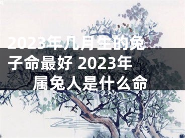 2023年几月生的兔子命最好 2023年属兔人是什么命