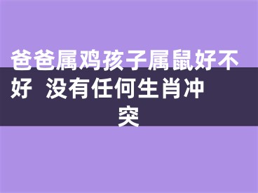 爸爸属鸡孩子属鼠好不好  没有任何生肖冲突