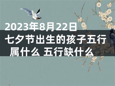 2023年8月22日七夕节出生的孩子五行属什么 五行缺什么