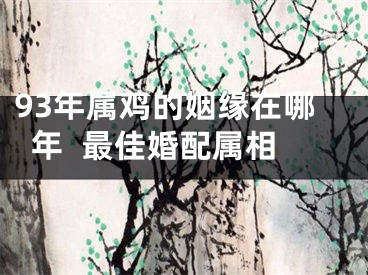 93年属鸡的姻缘在哪年  最佳婚配属相