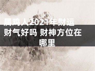 属鸡人2021年财运财气好吗 财神方位在哪里