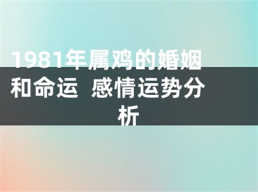 1981年属鸡的婚姻和命运  感情运势分析