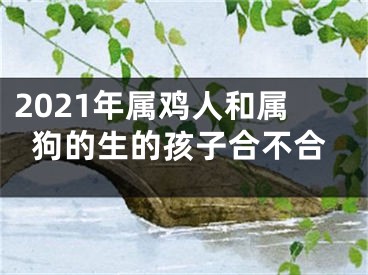 2021年属鸡人和属狗的生的孩子合不合