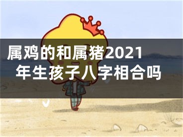 属鸡的和属猪2021年生孩子八字相合吗