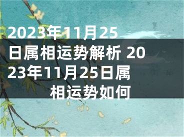 2023年11月25日属相运势解析 2023年11月25日属相运势如何