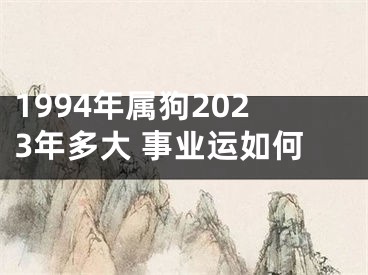 1994年属狗2023年多大 事业运如何