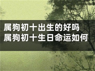 属狗初十出生的好吗 属狗初十生日命运如何
