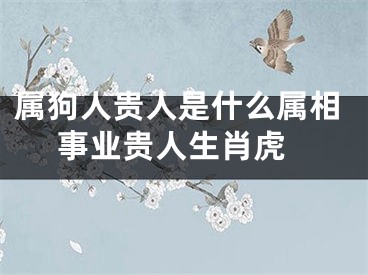 属狗人贵人是什么属相 事业贵人生肖虎