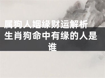 属狗人姻缘财运解析 生肖狗命中有缘的人是谁