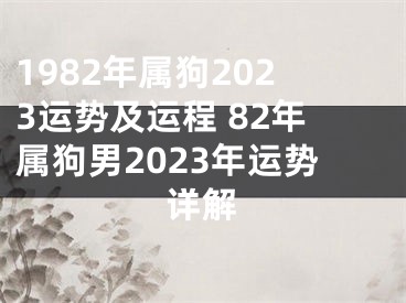 1982年属狗2023运势及运程 82年属狗男2023年运势详解